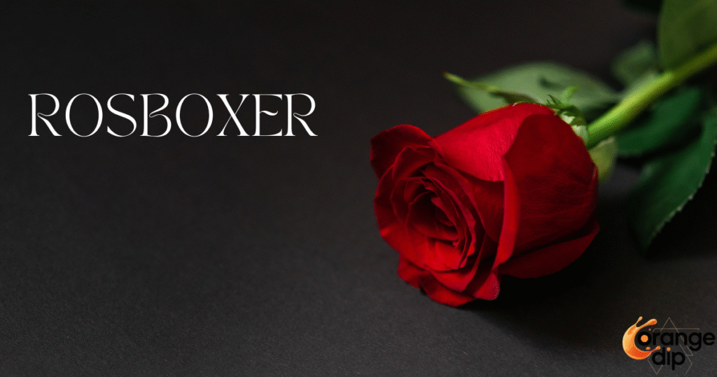 How Can Rosboxar Influence Online Communities and Digital Trends