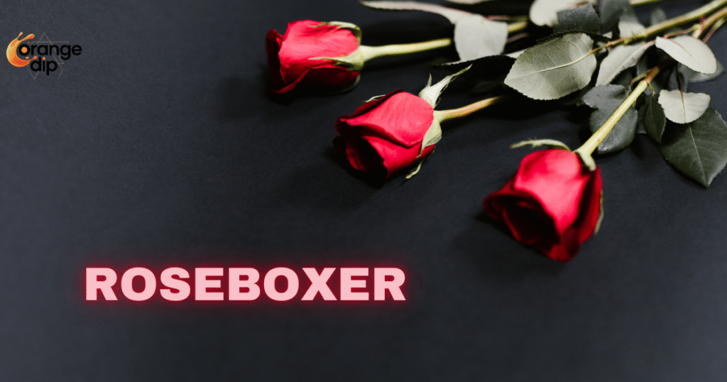 What is Rosboxar and How is it Used in Social Media and Gaming