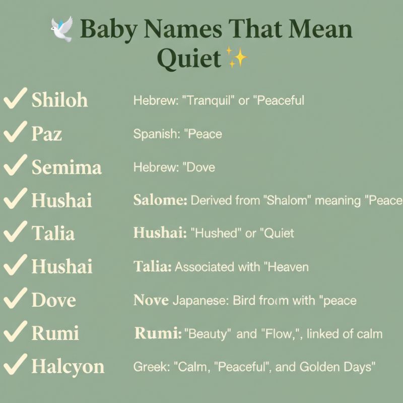 A newborn wrapped in a cozy blanket, representing calm and peace, with the caption “Baby Names That Mean Quiet.