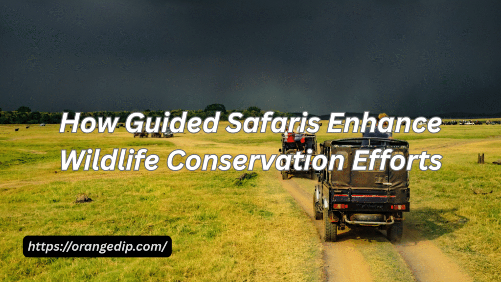 How Guided Safaris Enhance Wildlife Conservation Efforts